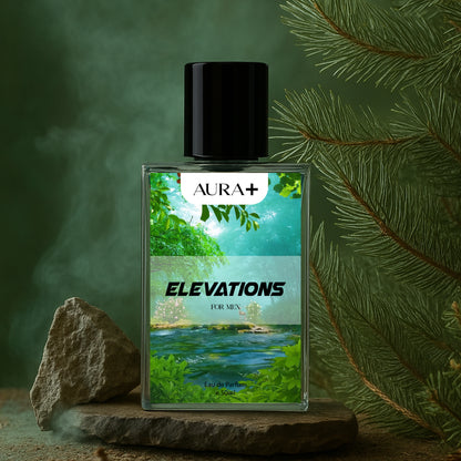 Elevations Inspired By Creed Aventus